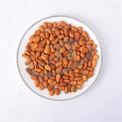 آجیل کاج باز سرخ شده