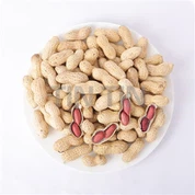 بادام زمینی در پوسته