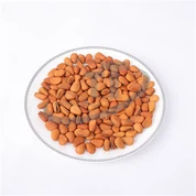 آجیل کاج بو داده