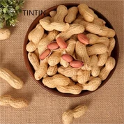 عرضه کننده بادام زمینی بو داده چینی خوشمزه و با کیفیت خوب