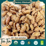 بادام زمینی قهوه چینی با کیفیت خوب