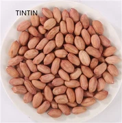 تامین کننده هسته بادام زمینی چینی با کیفیت بالا