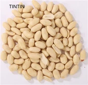 فروش داغ با کیفیت فوق العاده مغز بادام زمینی 100٪ طبیعی بلانچ شده