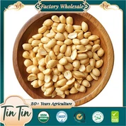 هسته های بادام زمینی 25/29