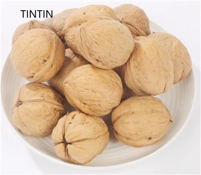 تخفیف ویژه ارزانترین گردو 185 گردوی تولید کننده اینشل سین ​​کیانگ در کاغذ پوسته گردو
