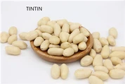 عمده فروشی مغز بادام زمینی بلانچ شده چینی