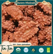 عمده فروشی با کیفیت خوب بادام زمینی قهوه با منشاء چین